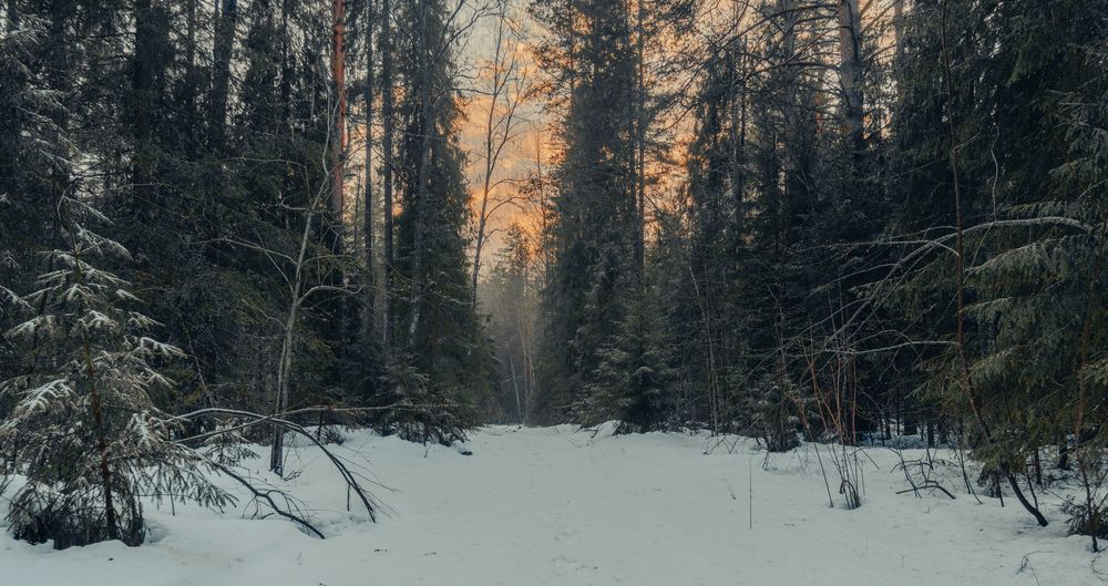 Photograph by Кокорин Алексей