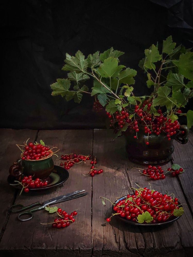 Photograph by Екатерина Брехова