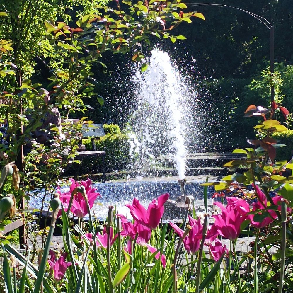 Photograph by Ирина Шведчикова