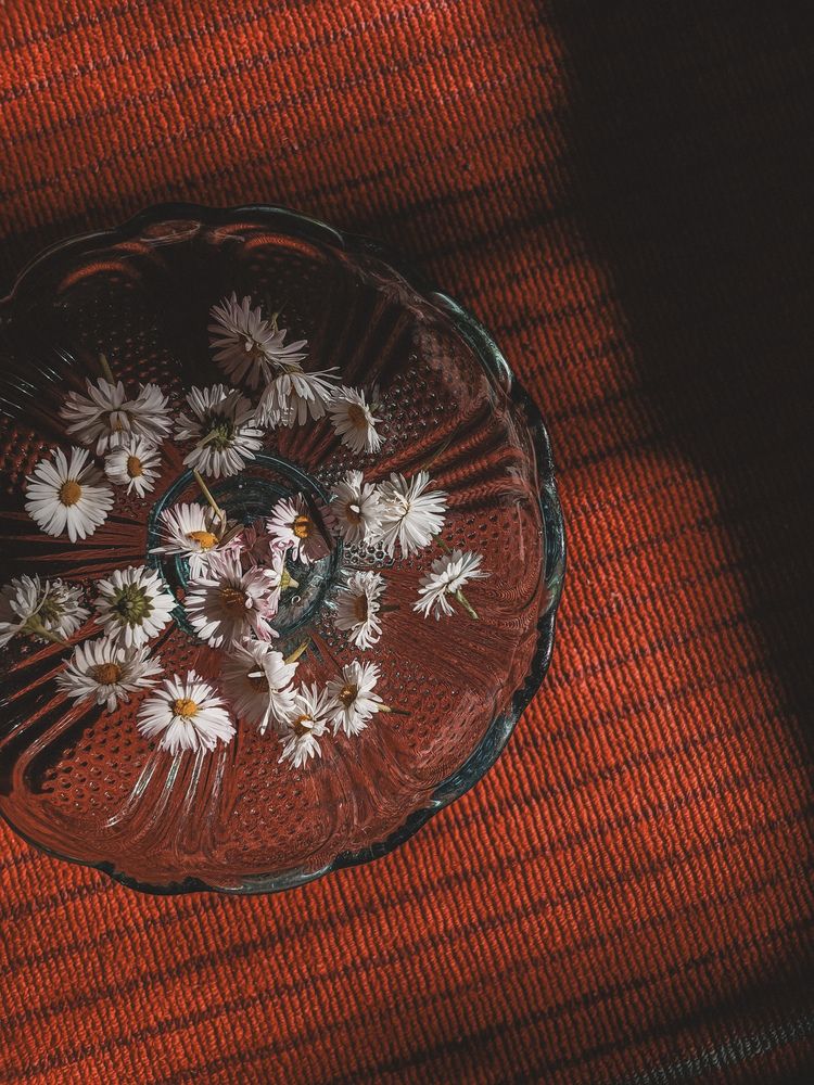 Фотография автора Ирина Романовская