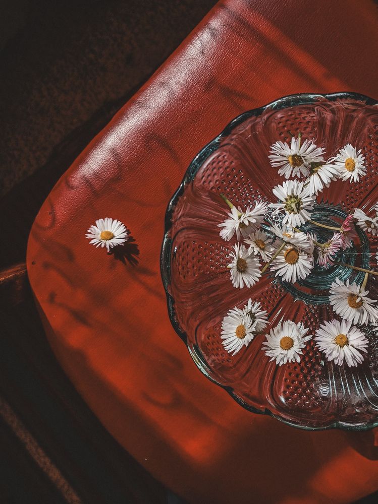 Фотография автора Ирина Романовская