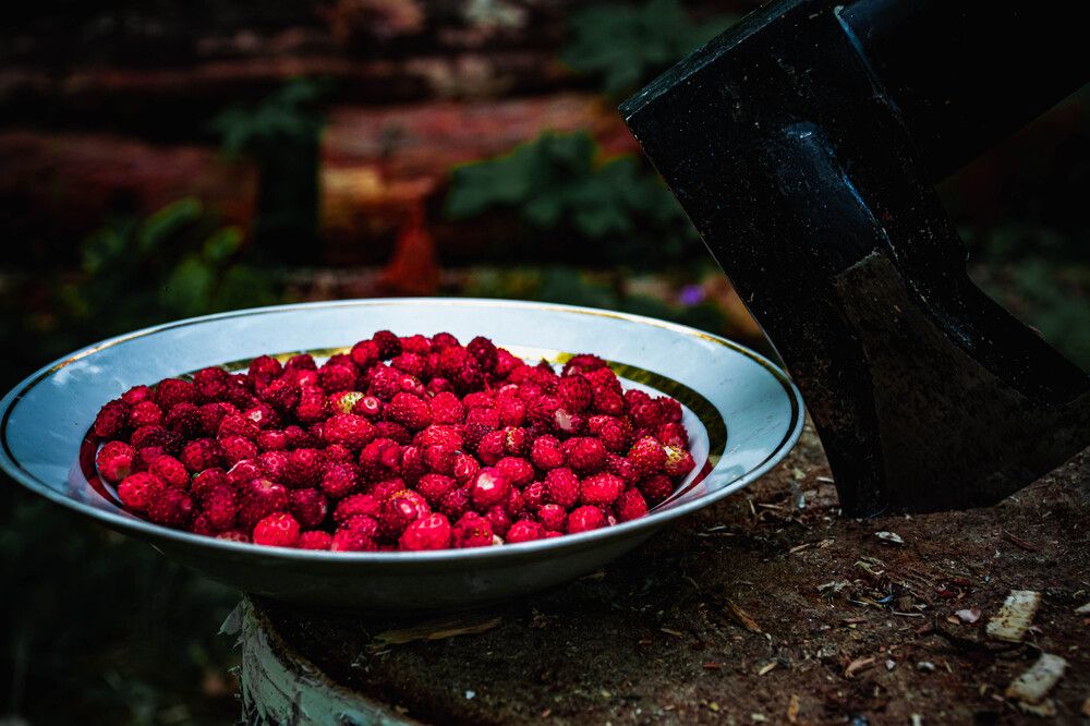 Photograph by Людмила Баймухаметова