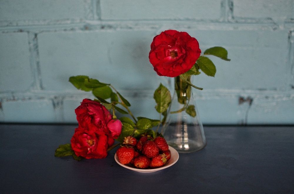 Фотография автора Ольга Жлоба