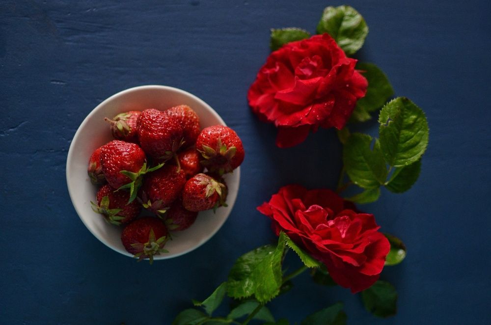 Фотография автора Ольга Жлоба