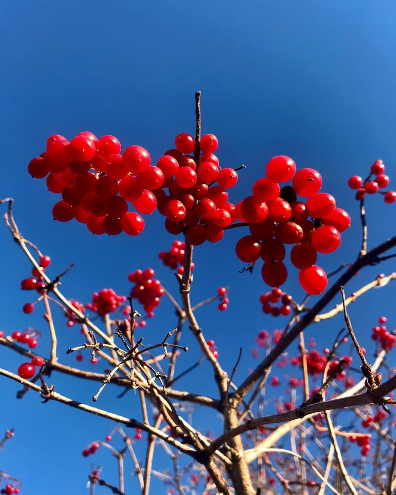 Photograph by Шестакова Наталья