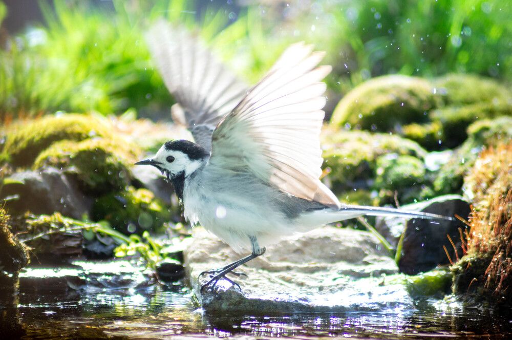Photograph by Александр Анисенков