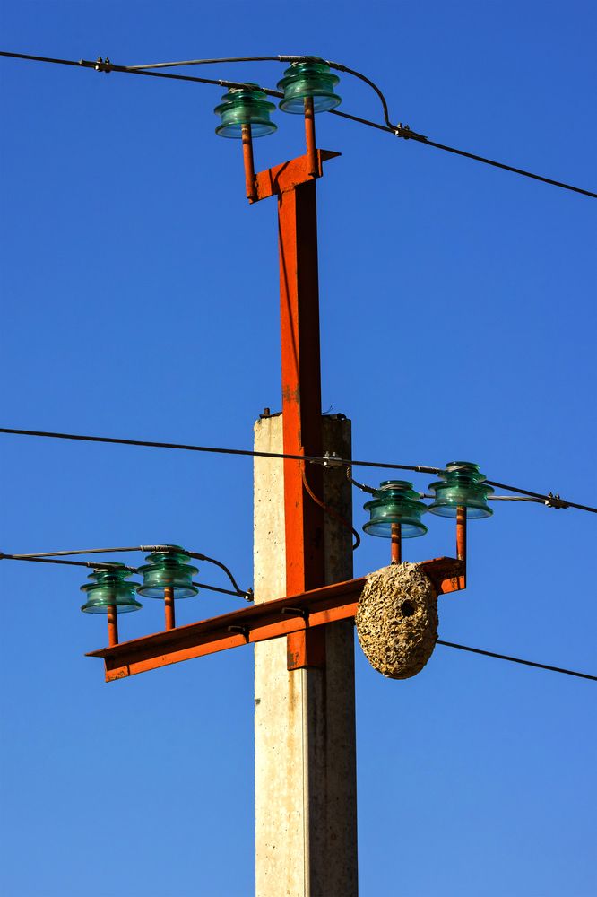 Поближе к свету...