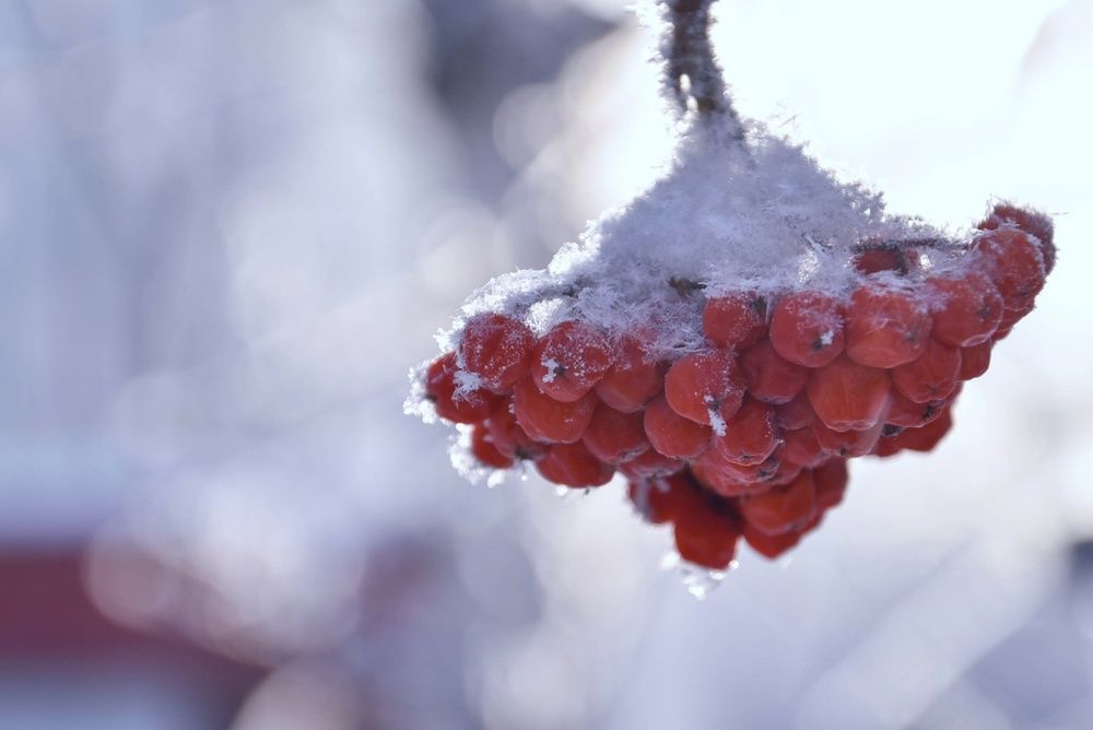 Photograph by Наталья Сорокина