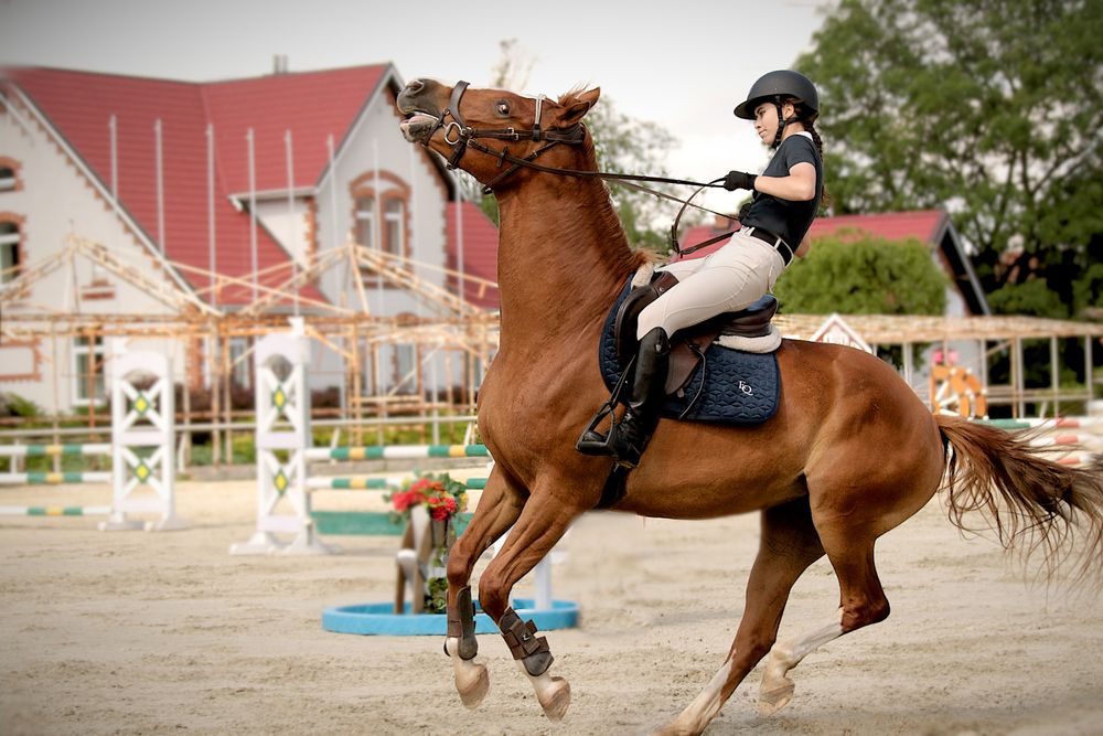 Фотография автора Шруб (Беляева) Татьяна