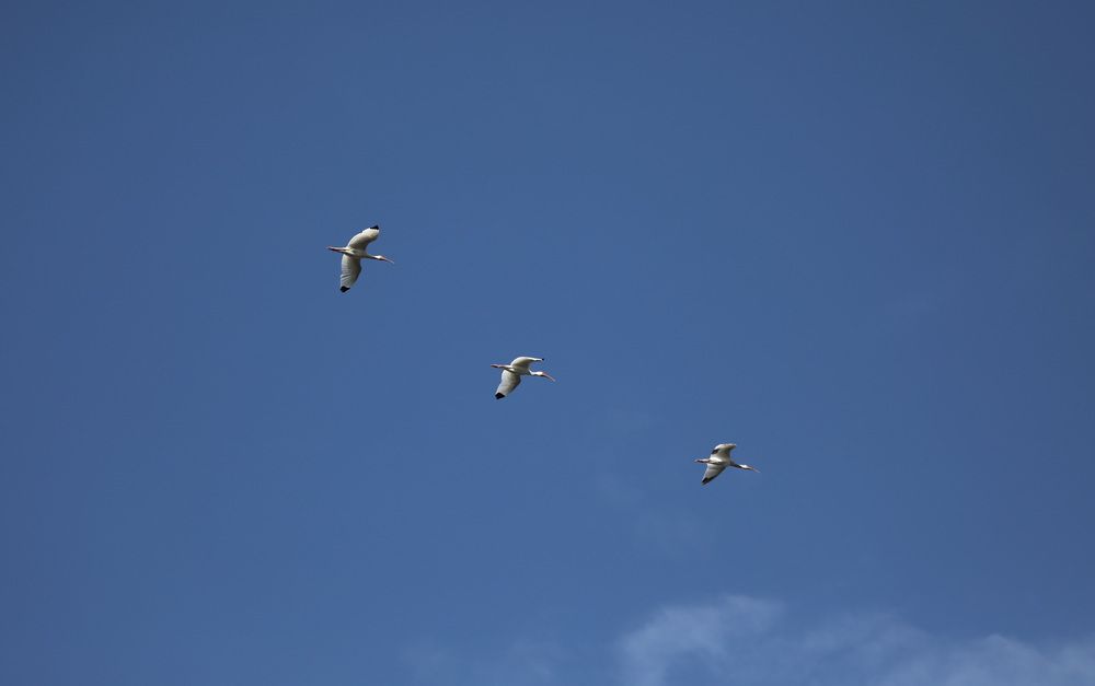 Фотография автора Татьяна Анпилова