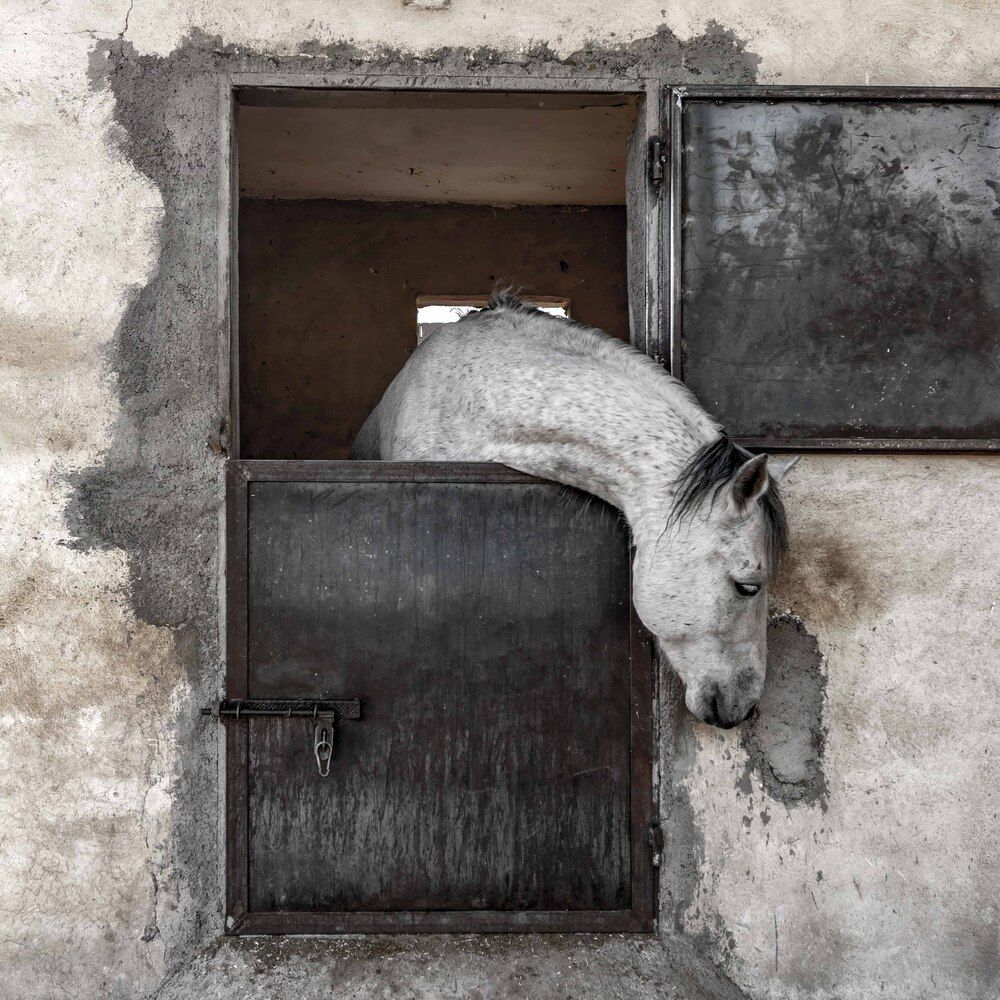 Фотография автора Vahid Sabet