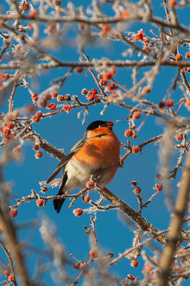 Photograph by Анастасия Глазюк