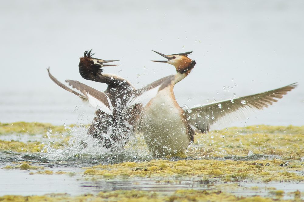 Фотография автора Суслов Дмитрий