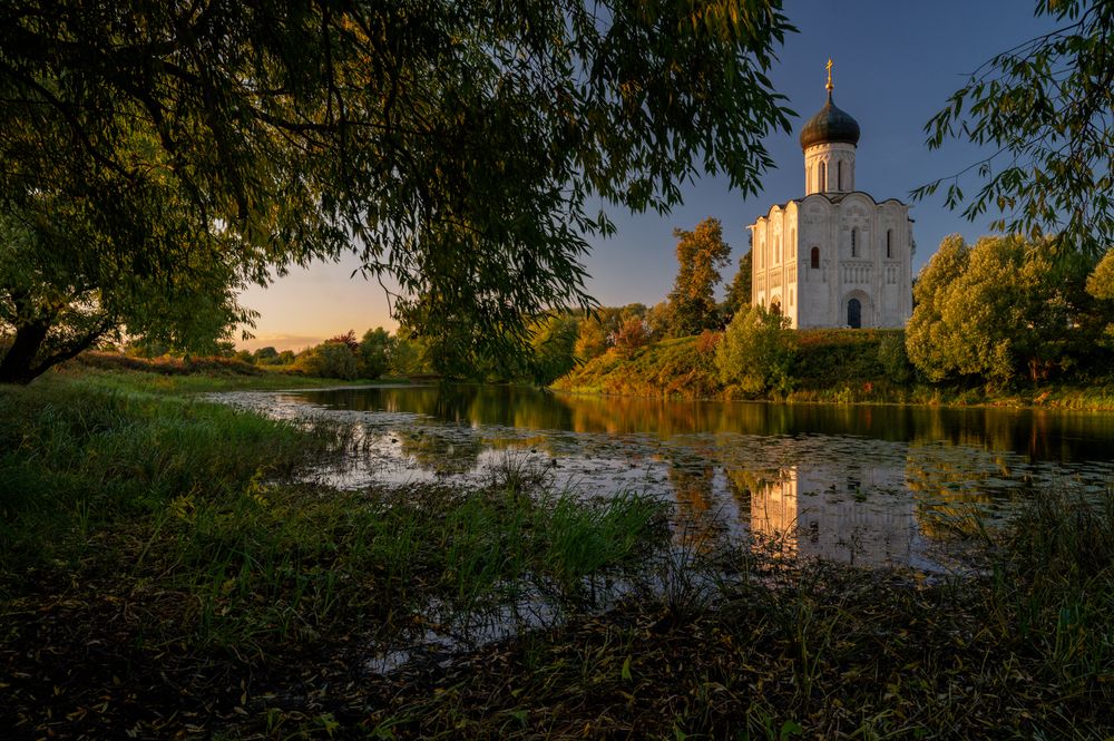 Фотография автора Томислав Ракичевич