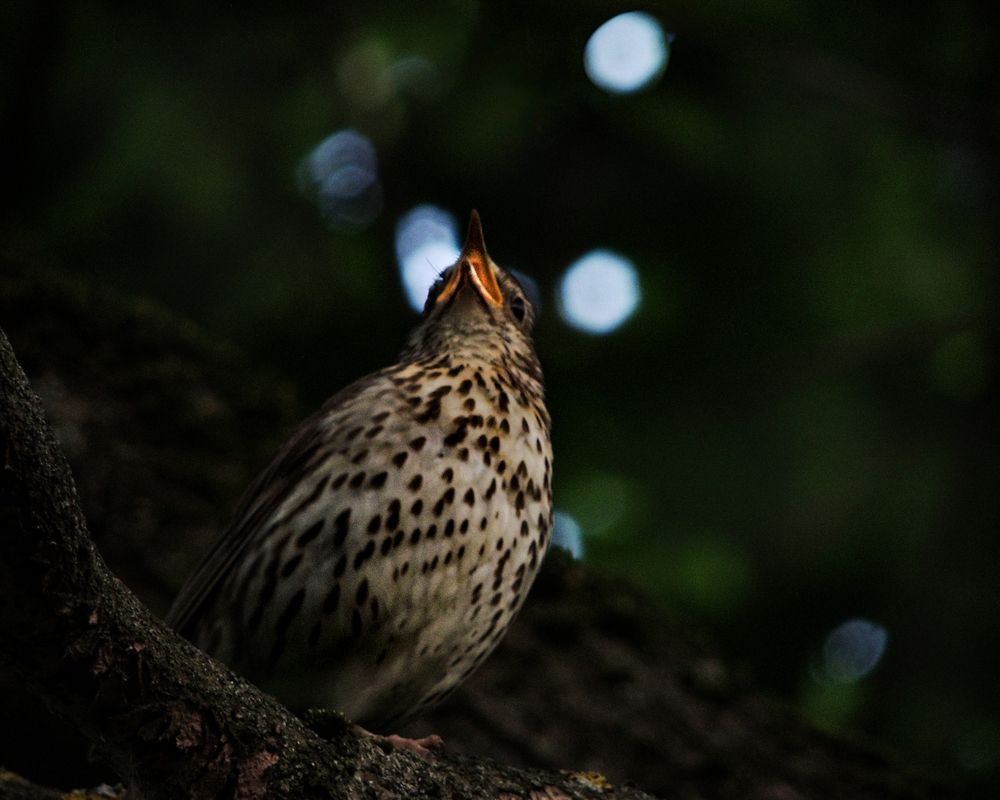 Photograph by Наталья Балабанова