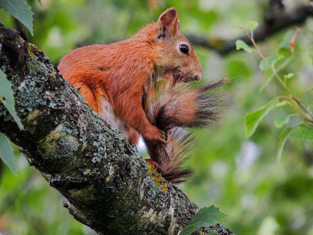 Photograph by Наталья Балабанова