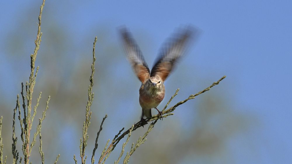 Photograph by Алексей Парамонов