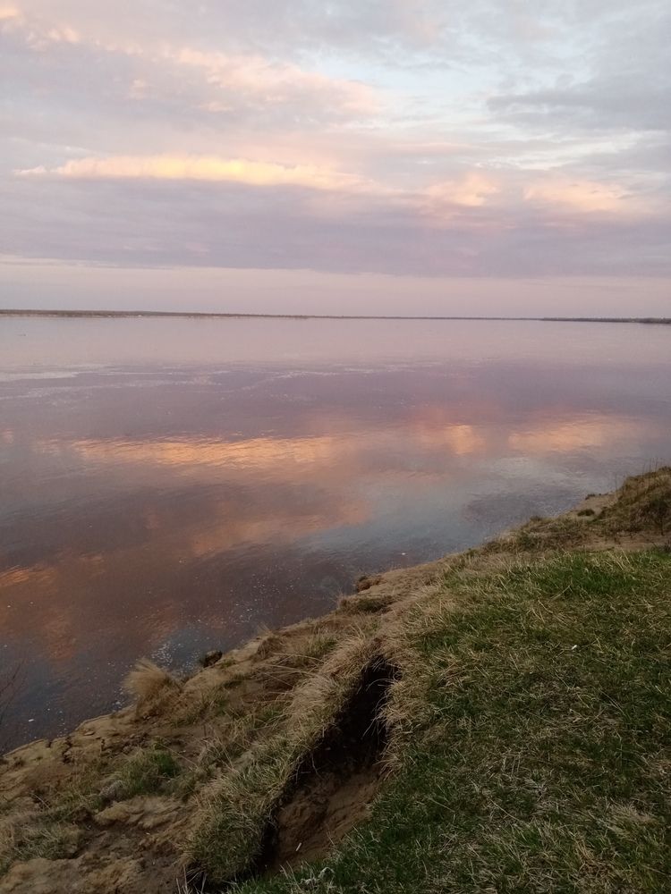 Photo #12369977