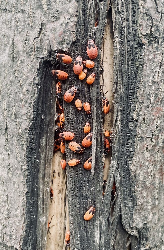 Photograph by Анна Приваленкова