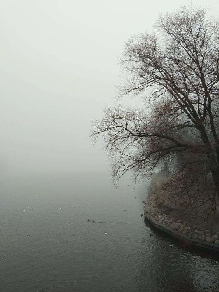 Photo #12370033