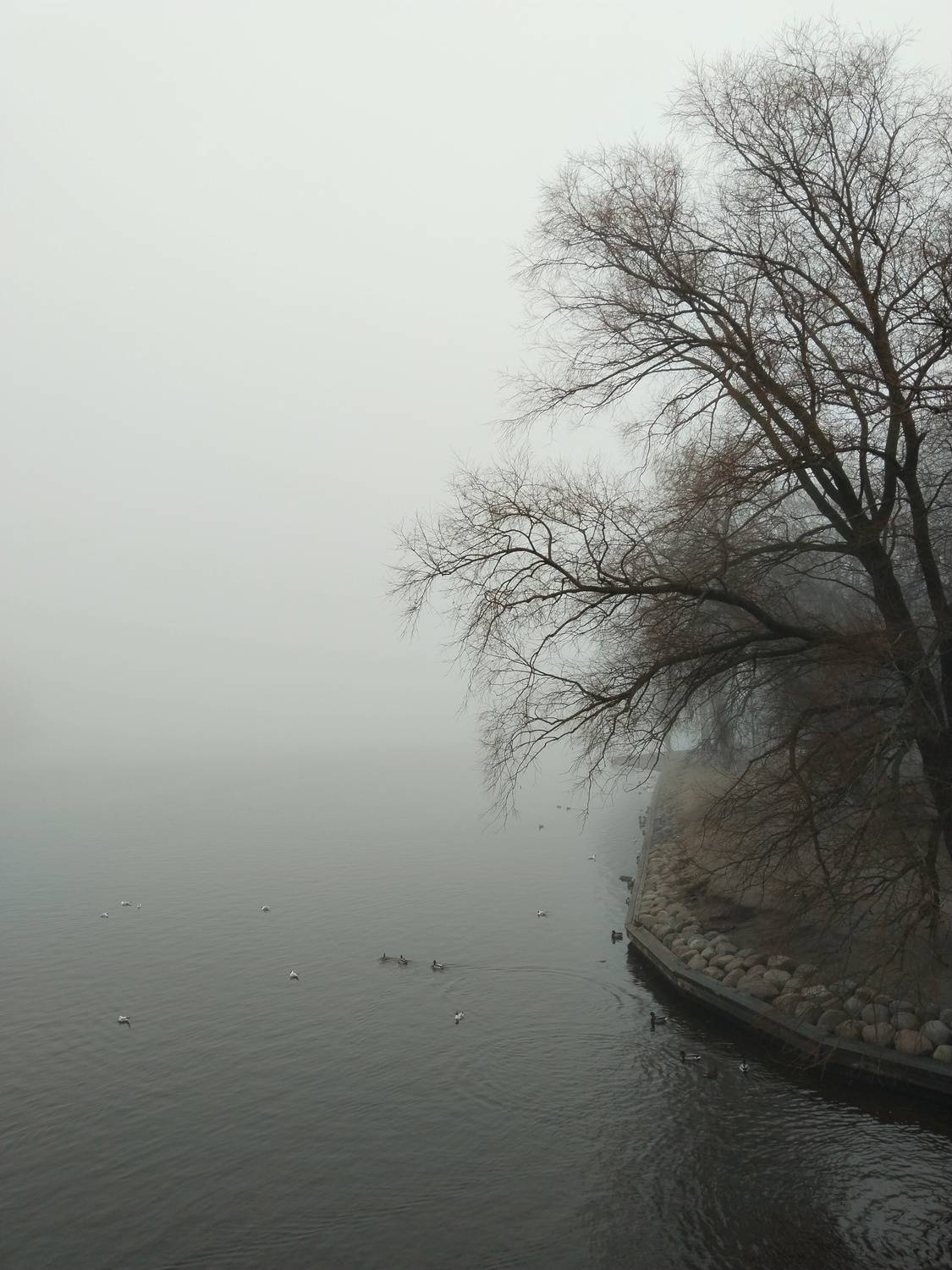 Photo #12370033