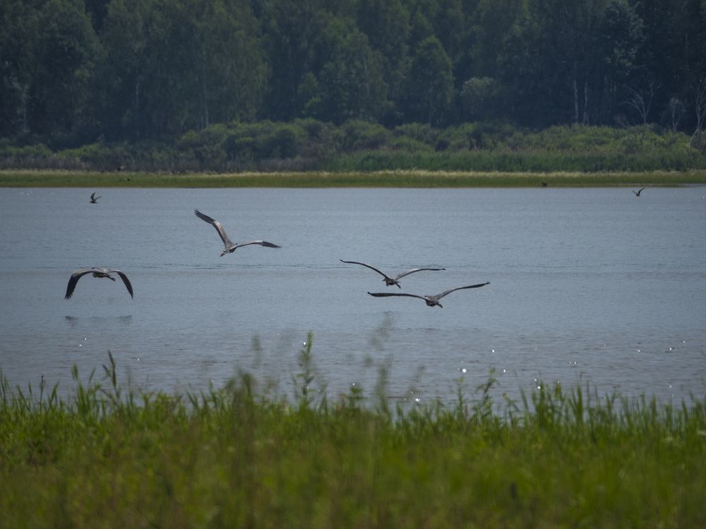 Photograph by Надежда Михайлина