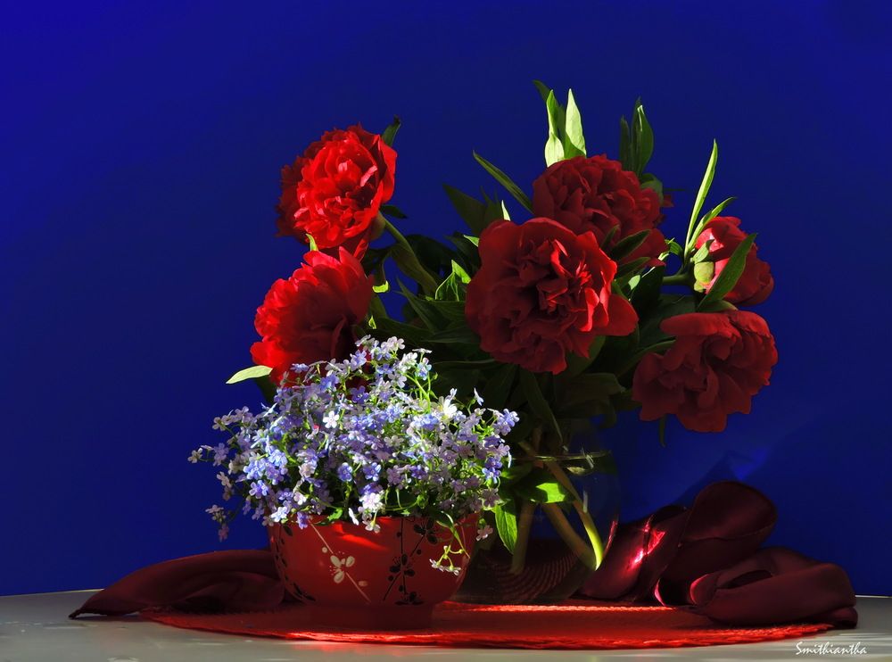 Photograph by Galina Gorshkova