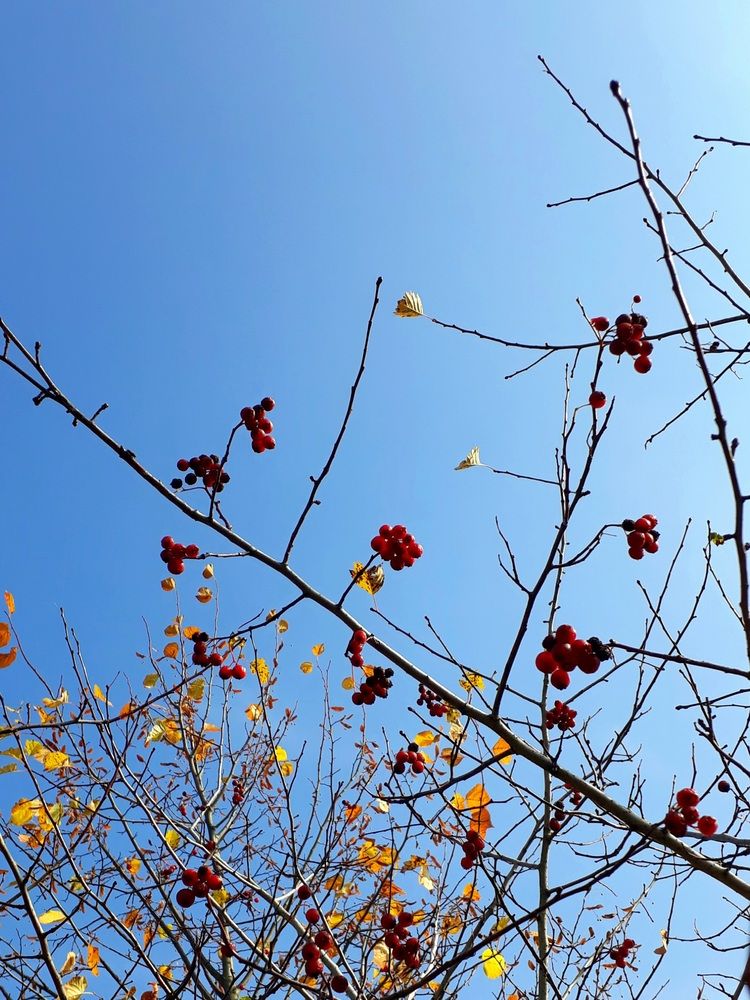 Photograph by Яна