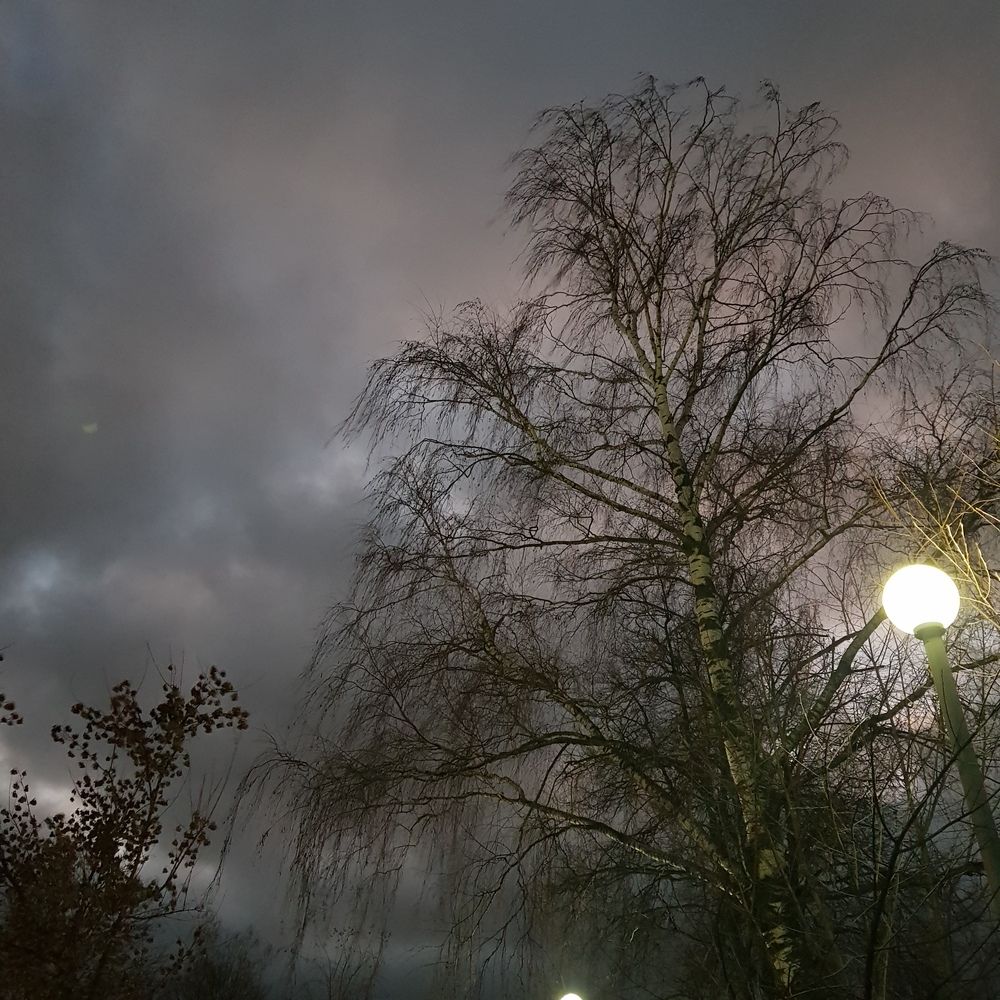 Photograph by Софья