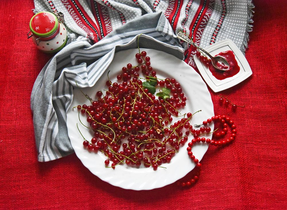 Натюрморт с красной смородиной