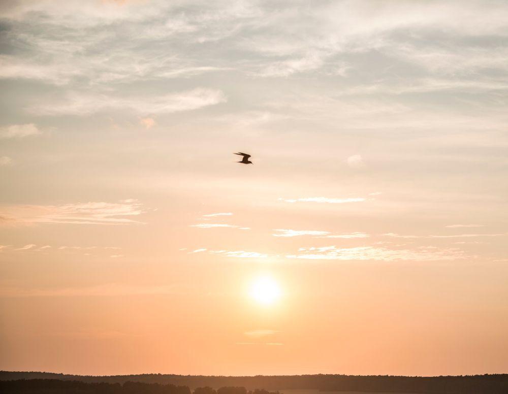 Photograph by Лев