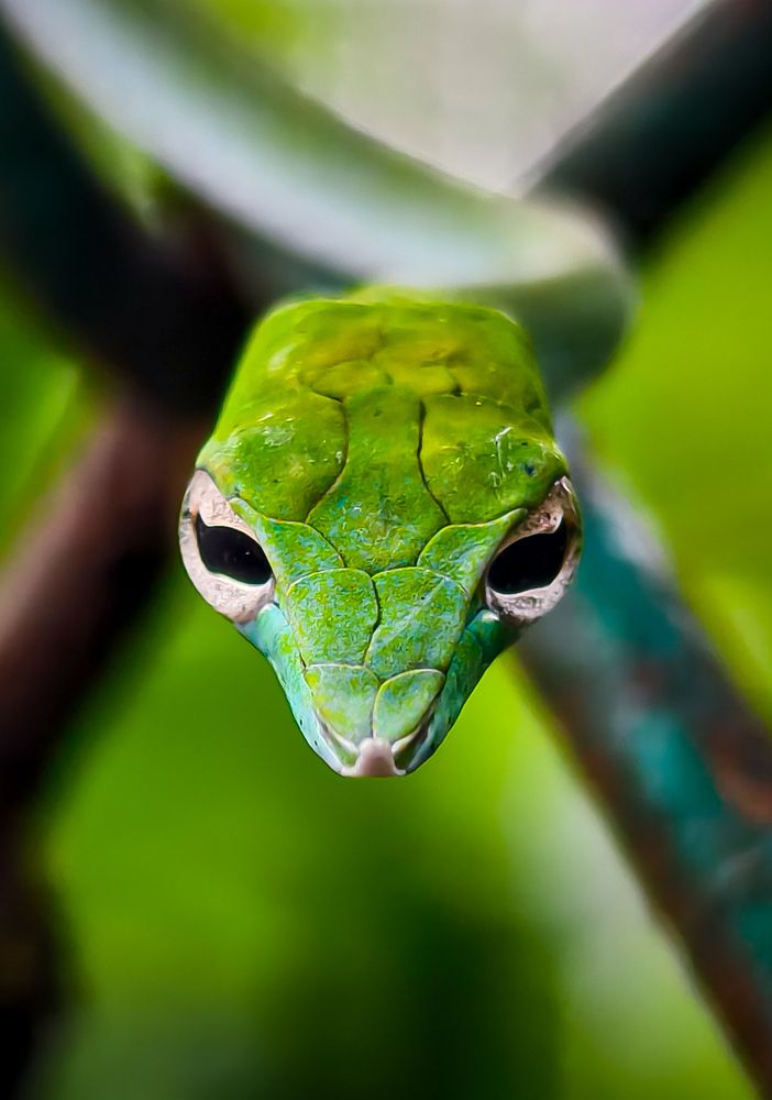Photograph by Vikrant Khedekar