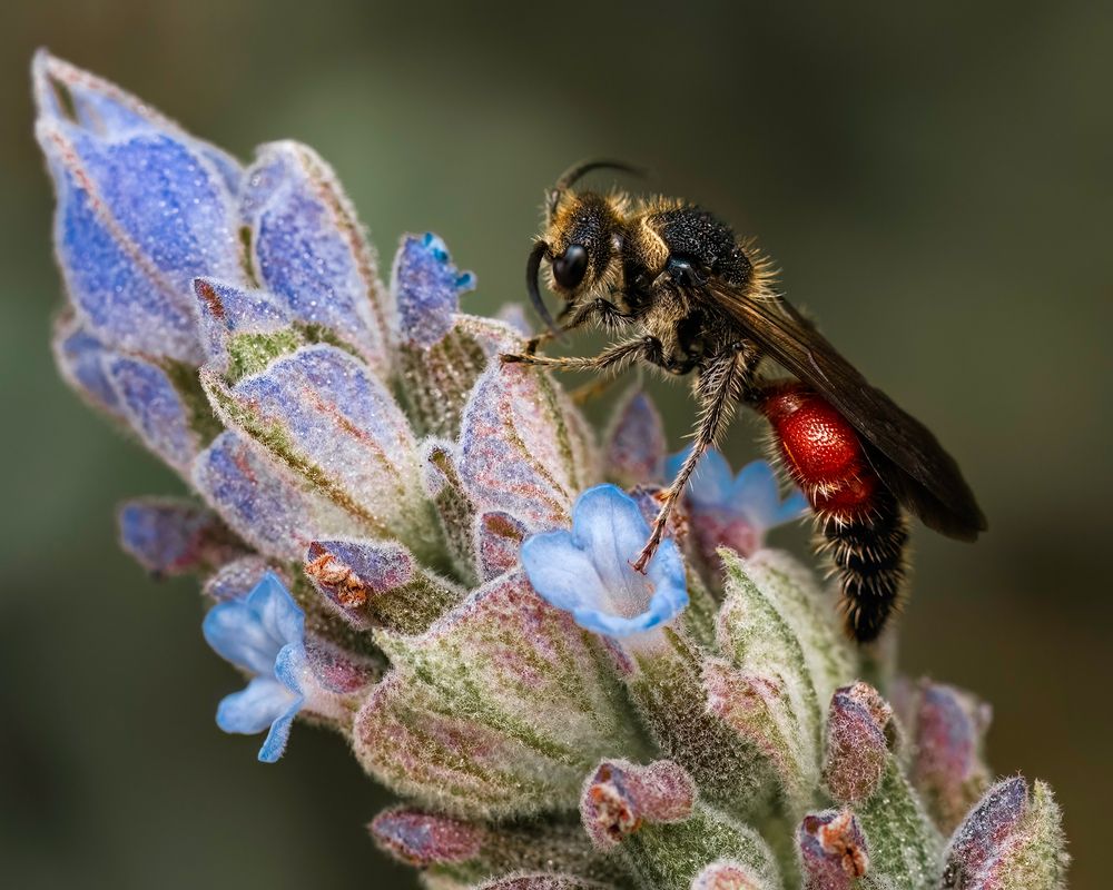 Photograph by Valdir Hobus