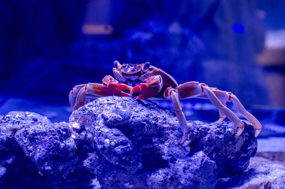 Photograph by Татьяна Герасимцева