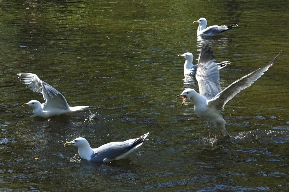 Photograph by jelena konickaja