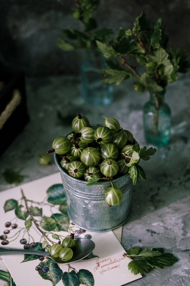 Photograph by Наталия Тимари