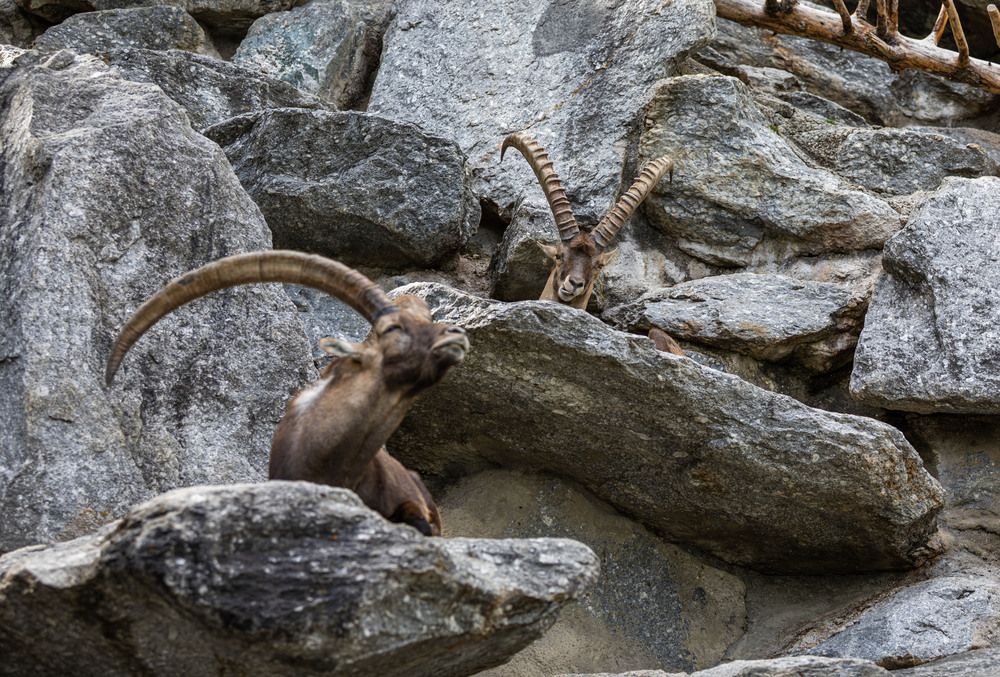 Photograph by Strisovsky Stanislav