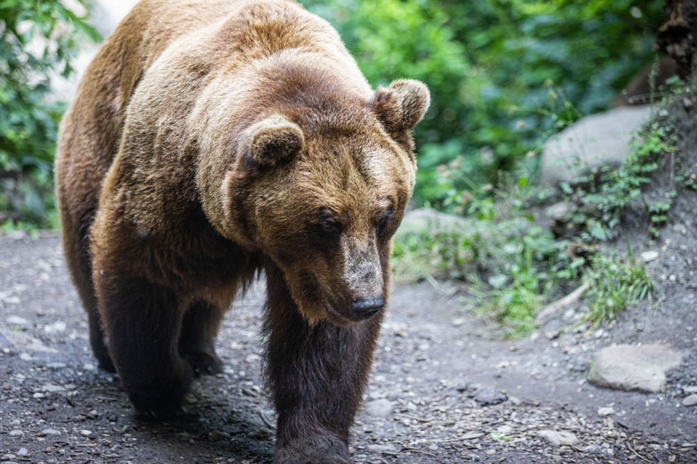 Photograph by Strisovsky Stanislav