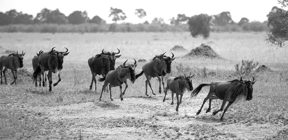 Фотография автора Анатолий Макоедов