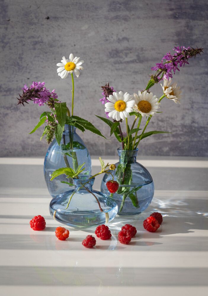 Фотография автора Оксана Белозерская