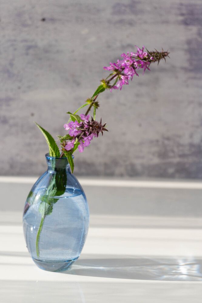 Фотография автора Оксана Белозерская