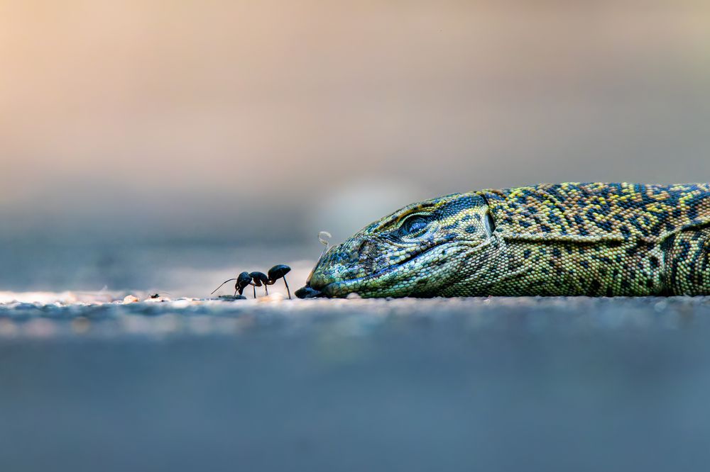 Life and Death