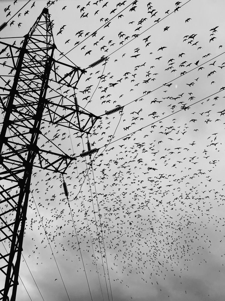 Photograph by Albina Kremez