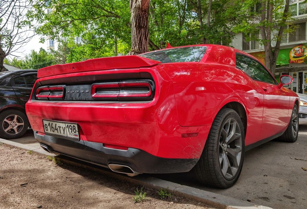 Photograph by Дмитрий Леонтенко