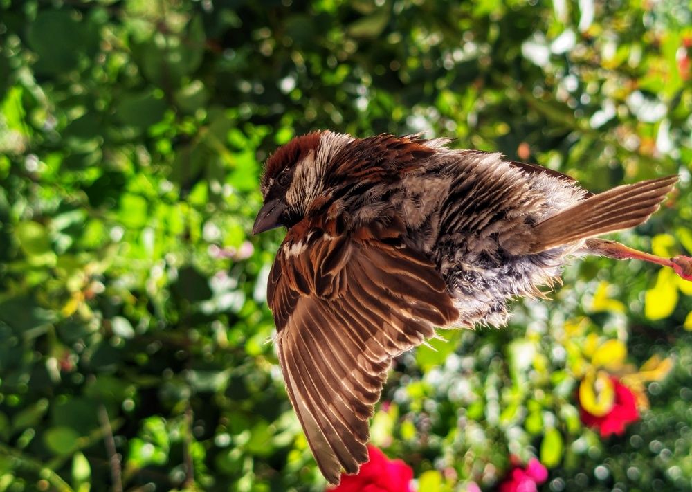 Photograph by Дмитрий Леонтенко