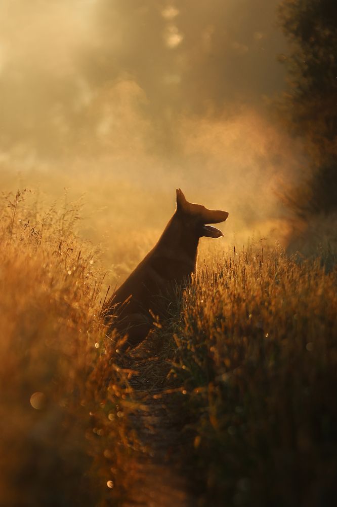 Photograph by Мария