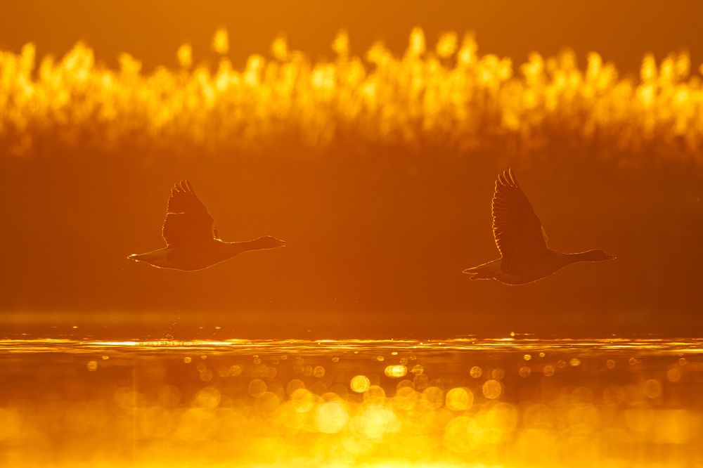 Photograph by Patryk Kurc