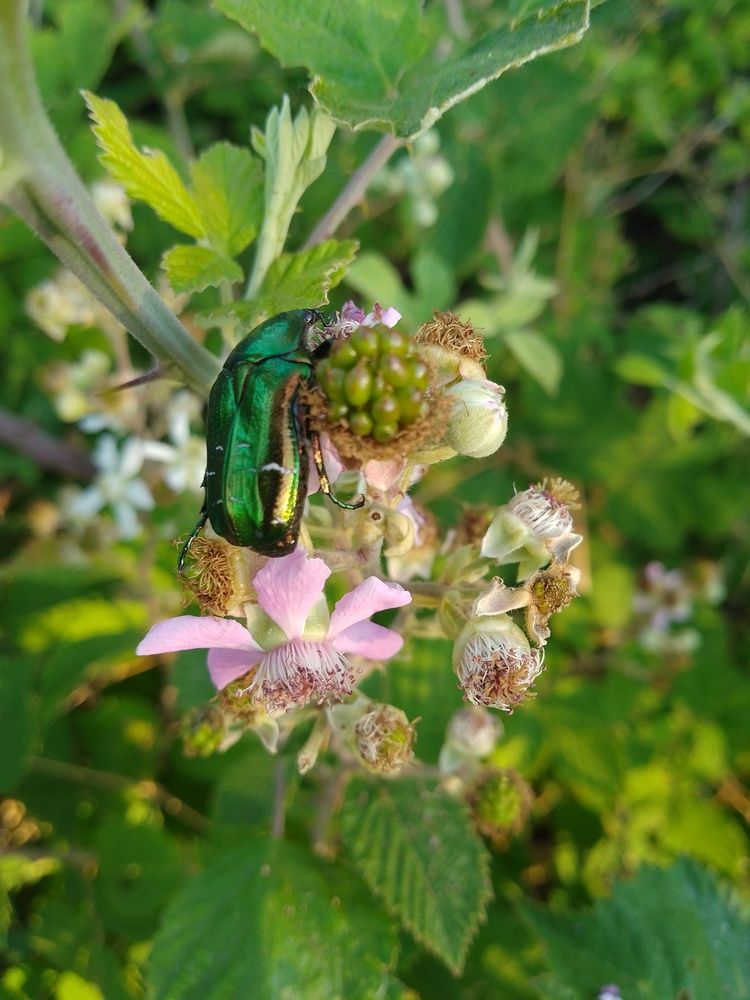 Фотография автора Liliya Slavcheva