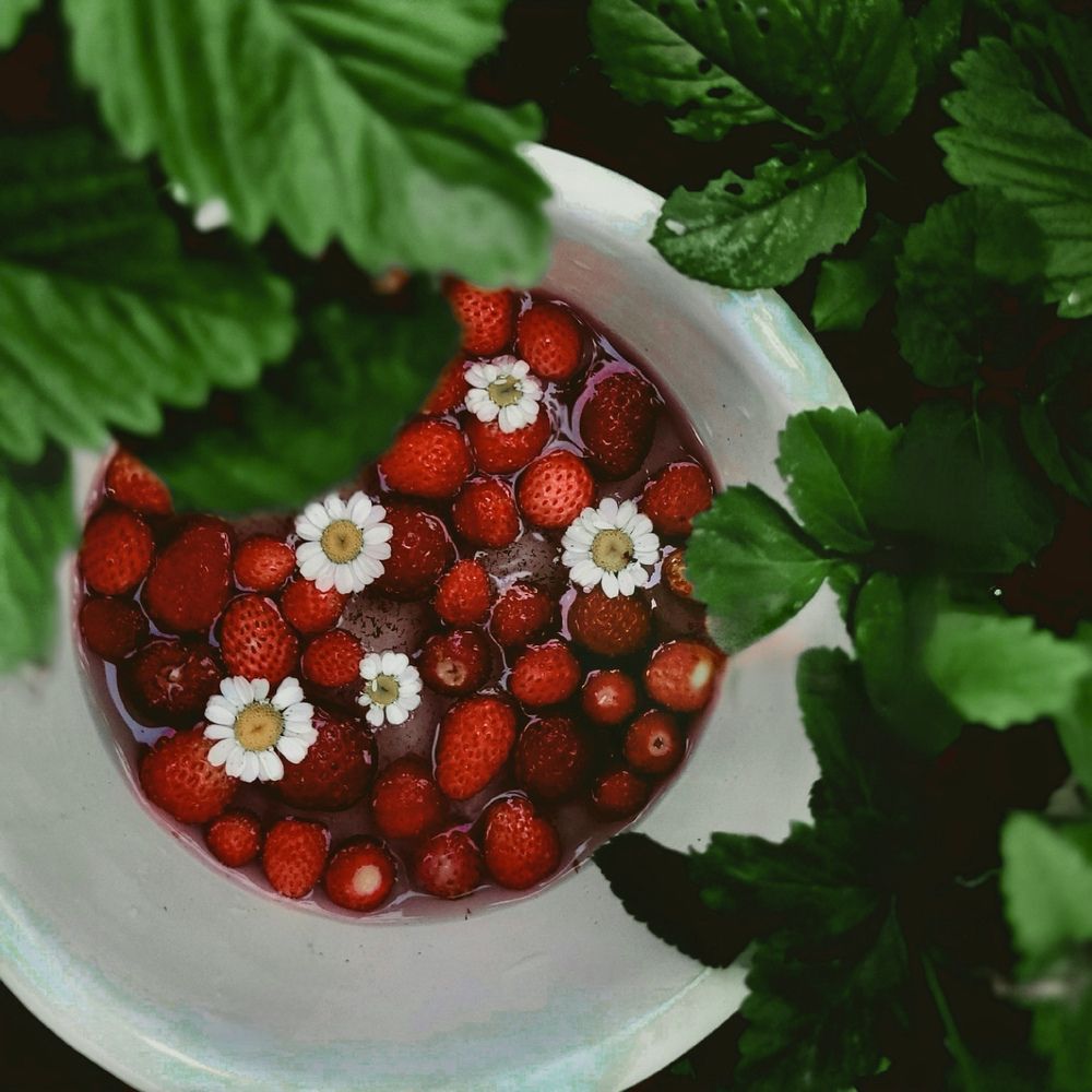 Photograph by Юлия Чернышёва