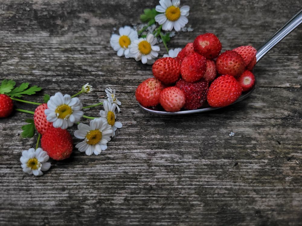 Photograph by Юлия Чернышёва